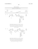 SYK INHIBITORS diagram and image