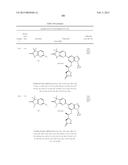 SYK INHIBITORS diagram and image