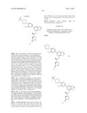 SYK INHIBITORS diagram and image