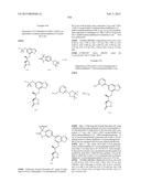 SYK INHIBITORS diagram and image