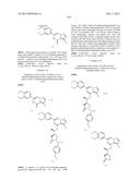 SYK INHIBITORS diagram and image