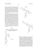 SYK INHIBITORS diagram and image