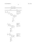 SYK INHIBITORS diagram and image