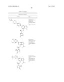 SYK INHIBITORS diagram and image