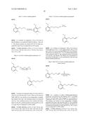 SPIROPYRROLIDINE BETA-SECRETASE INHIBITORS FOR THE TREATMENT OF     ALZHEIMER S DISEASE diagram and image