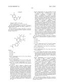 BRIDGED BICYCLIC AMINO THIAZINE DIOXIDE COMPOUNDS AS INHIBITORS OF     BETA-SECRETASE AND METHODS OF USE THEREOF diagram and image