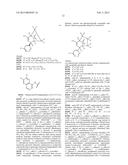 BRIDGED BICYCLIC AMINO THIAZINE DIOXIDE COMPOUNDS AS INHIBITORS OF     BETA-SECRETASE AND METHODS OF USE THEREOF diagram and image