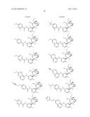 BRIDGED BICYCLIC AMINO THIAZINE DIOXIDE COMPOUNDS AS INHIBITORS OF     BETA-SECRETASE AND METHODS OF USE THEREOF diagram and image