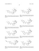 BRIDGED BICYCLIC AMINO THIAZINE DIOXIDE COMPOUNDS AS INHIBITORS OF     BETA-SECRETASE AND METHODS OF USE THEREOF diagram and image