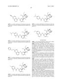 BRIDGED BICYCLIC AMINO THIAZINE DIOXIDE COMPOUNDS AS INHIBITORS OF     BETA-SECRETASE AND METHODS OF USE THEREOF diagram and image