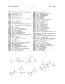 BRIDGED BICYCLIC AMINO THIAZINE DIOXIDE COMPOUNDS AS INHIBITORS OF     BETA-SECRETASE AND METHODS OF USE THEREOF diagram and image