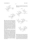 BRIDGED BICYCLIC AMINO THIAZINE DIOXIDE COMPOUNDS AS INHIBITORS OF     BETA-SECRETASE AND METHODS OF USE THEREOF diagram and image