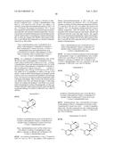 BRIDGED BICYCLIC AMINO THIAZINE DIOXIDE COMPOUNDS AS INHIBITORS OF     BETA-SECRETASE AND METHODS OF USE THEREOF diagram and image