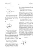 BRIDGED BICYCLIC AMINO THIAZINE DIOXIDE COMPOUNDS AS INHIBITORS OF     BETA-SECRETASE AND METHODS OF USE THEREOF diagram and image