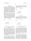 BRIDGED BICYCLIC AMINO THIAZINE DIOXIDE COMPOUNDS AS INHIBITORS OF     BETA-SECRETASE AND METHODS OF USE THEREOF diagram and image