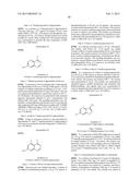 BRIDGED BICYCLIC AMINO THIAZINE DIOXIDE COMPOUNDS AS INHIBITORS OF     BETA-SECRETASE AND METHODS OF USE THEREOF diagram and image