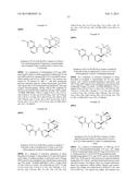 BRIDGED BICYCLIC AMINO THIAZINE DIOXIDE COMPOUNDS AS INHIBITORS OF     BETA-SECRETASE AND METHODS OF USE THEREOF diagram and image