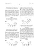 BRIDGED BICYCLIC AMINO THIAZINE DIOXIDE COMPOUNDS AS INHIBITORS OF     BETA-SECRETASE AND METHODS OF USE THEREOF diagram and image