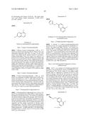 BRIDGED BICYCLIC AMINO THIAZINE DIOXIDE COMPOUNDS AS INHIBITORS OF     BETA-SECRETASE AND METHODS OF USE THEREOF diagram and image