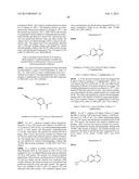 BRIDGED BICYCLIC AMINO THIAZINE DIOXIDE COMPOUNDS AS INHIBITORS OF     BETA-SECRETASE AND METHODS OF USE THEREOF diagram and image