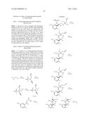 BRIDGED BICYCLIC AMINO THIAZINE DIOXIDE COMPOUNDS AS INHIBITORS OF     BETA-SECRETASE AND METHODS OF USE THEREOF diagram and image