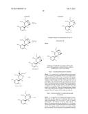 BRIDGED BICYCLIC AMINO THIAZINE DIOXIDE COMPOUNDS AS INHIBITORS OF     BETA-SECRETASE AND METHODS OF USE THEREOF diagram and image