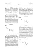 BRIDGED BICYCLIC AMINO THIAZINE DIOXIDE COMPOUNDS AS INHIBITORS OF     BETA-SECRETASE AND METHODS OF USE THEREOF diagram and image