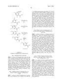 BRIDGED BICYCLIC AMINO THIAZINE DIOXIDE COMPOUNDS AS INHIBITORS OF     BETA-SECRETASE AND METHODS OF USE THEREOF diagram and image