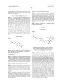 BRIDGED BICYCLIC AMINO THIAZINE DIOXIDE COMPOUNDS AS INHIBITORS OF     BETA-SECRETASE AND METHODS OF USE THEREOF diagram and image