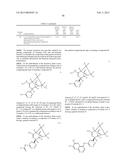 BRIDGED BICYCLIC AMINO THIAZINE DIOXIDE COMPOUNDS AS INHIBITORS OF     BETA-SECRETASE AND METHODS OF USE THEREOF diagram and image