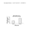 TREATMENT OF IMMUNE-RELATED AND INFLAMMATORY DISEASES diagram and image