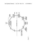 THERAPEUTIC REGIMENS AND METHODS FOR IMPROVING VISUAL FUNCTION IN VISUAL     DISORDERS ASSOCIATED WITH AN ENDOGENOUS RETINOID DEFICIENCY diagram and image