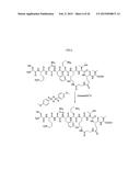 Efficient Synthesis of CN2097 and RC7 and Their Analogs diagram and image