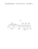 Efficient Synthesis of CN2097 and RC7 and Their Analogs diagram and image