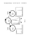 MUTANT DOUBLE CYCLIZED RECEPTOR PEPTIDES INHIBITING BETA1-ADRENOCEPTOR     ANTIBODIES diagram and image