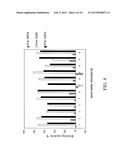 MUTANT DOUBLE CYCLIZED RECEPTOR PEPTIDES INHIBITING BETA1-ADRENOCEPTOR     ANTIBODIES diagram and image