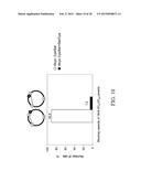 MUTANT DOUBLE CYCLIZED RECEPTOR PEPTIDES INHIBITING BETA1-ADRENOCEPTOR     ANTIBODIES diagram and image