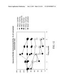 MUTANT DOUBLE CYCLIZED RECEPTOR PEPTIDES INHIBITING BETA1-ADRENOCEPTOR     ANTIBODIES diagram and image