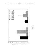 MUTANT DOUBLE CYCLIZED RECEPTOR PEPTIDES INHIBITING BETA1-ADRENOCEPTOR     ANTIBODIES diagram and image