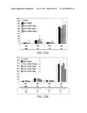 MUTANT DOUBLE CYCLIZED RECEPTOR PEPTIDES INHIBITING BETA1-ADRENOCEPTOR     ANTIBODIES diagram and image