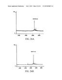 MUTANT DOUBLE CYCLIZED RECEPTOR PEPTIDES INHIBITING BETA1-ADRENOCEPTOR     ANTIBODIES diagram and image