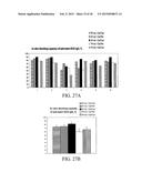 MUTANT DOUBLE CYCLIZED RECEPTOR PEPTIDES INHIBITING BETA1-ADRENOCEPTOR     ANTIBODIES diagram and image