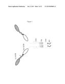 BISPECIFIC CHIMERIC ANTIGEN RECEPTORS AND THERAPEUTIC USES THEREOF diagram and image