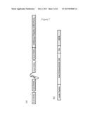 BISPECIFIC CHIMERIC ANTIGEN RECEPTORS AND THERAPEUTIC USES THEREOF diagram and image