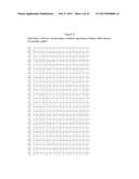 BISPECIFIC CHIMERIC ANTIGEN RECEPTORS AND THERAPEUTIC USES THEREOF diagram and image