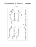 BISPECIFIC CHIMERIC ANTIGEN RECEPTORS AND THERAPEUTIC USES THEREOF diagram and image