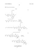 Polymeric Carriers of Therapeutic Agents and Recognition Moieties for     Antibody-Based Targeting of Disease Sites diagram and image