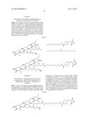 Polymeric Carriers of Therapeutic Agents and Recognition Moieties for     Antibody-Based Targeting of Disease Sites diagram and image