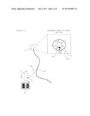 DEVICE FOR DETERMINING METASTASIS OF CANCER TO SENTINEL LYMPH NODE diagram and image