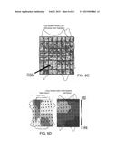 SYSTEM AND METHOD OF IDENTIFYING SOURCES FOR BIOLOGICAL RHYTHMS diagram and image